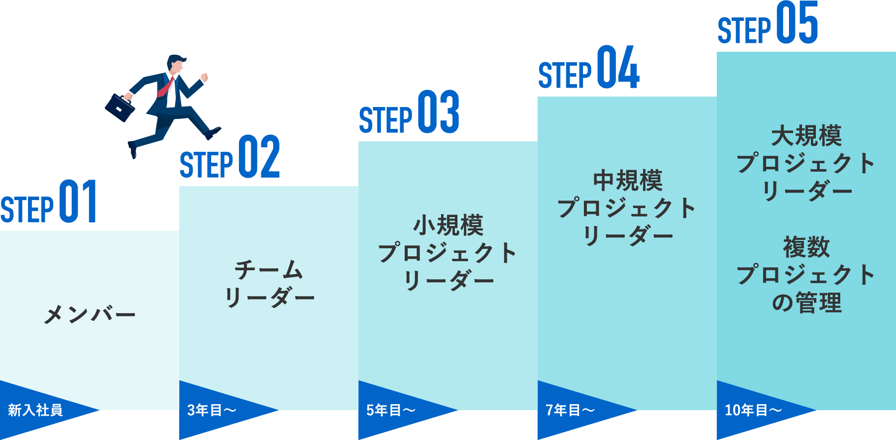 キャリアステップ図